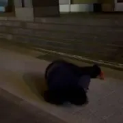 ひろ