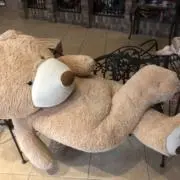 にこの画像