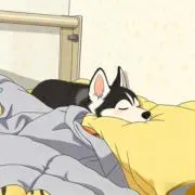 きゅうそうの画像