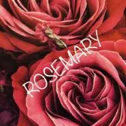ROSEMARY❤️プロフご一読を下さいの画像