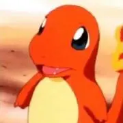 チコリータ