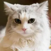 ヤマ