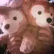 ももんの画像