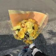 （農）ししゃもーずの画像
