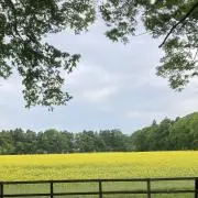 MAYの画像