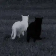 uの画像