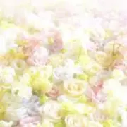 すまいるん（プロフィールお読みください）の画像