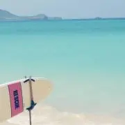 めるこの画像