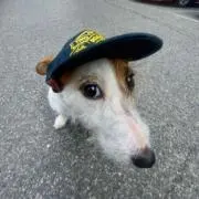知紘の画像