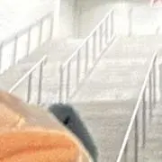 とおる