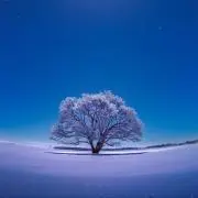 きゃっぴぃの画像
