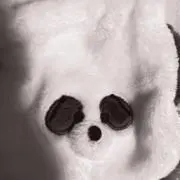ゆきち