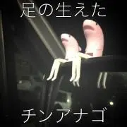 なぉ