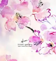 さぽんの画像