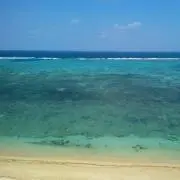 かりゆしマーケット♪の画像
