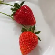 ちよこの画像