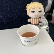 おまめさんの画像