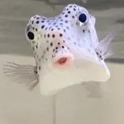 バナ男