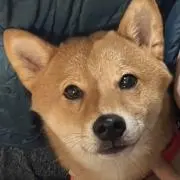 Ichiの画像