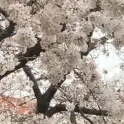 おかしの画像