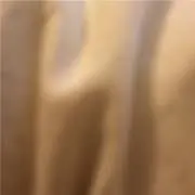 ぐーの画像