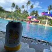Resort townの画像