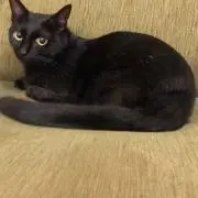 NaNaの画像