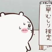 草むしりの画像