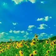 そら✨の画像