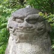 ツヨコの画像