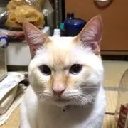 けいちゃん