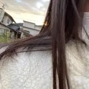 ぽんちゃの画像
