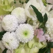 つーの画像