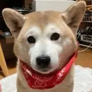 しょうちゃん♡の画像