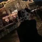 るるるんの画像