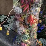 ハルジオン