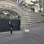 キムチの画像
