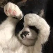 たかぶうきぃの画像
