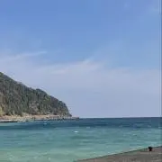 こちゃの画像