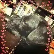 ☆Kijy☆プロフお読み下さい。