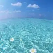 LaLaの画像