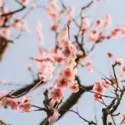 断捨離中の画像