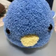 WFの画像