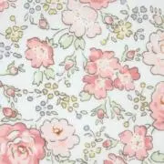 ひかりの画像
