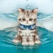さっちゃんの画像