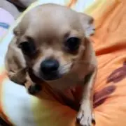 なみまな☆