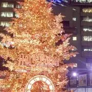 RIRIの画像