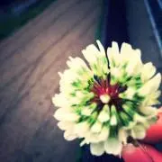 mi.