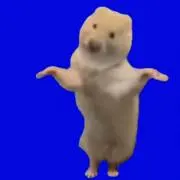 sabreの画像