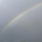 mm39の画像
